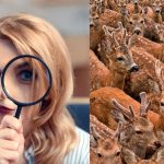 Η εύρεση τριών κατσικιών ανάμεσα στα ελάφια σε 11 δευτερόλεπτα: