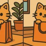 Τεστ IQ: βρείτε 3 διαφορές σε μια εικόνα μιας χαριτωμένης