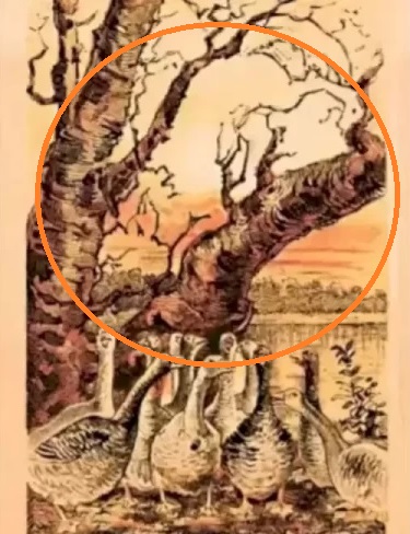 Οπτική ψευδαίσθηση